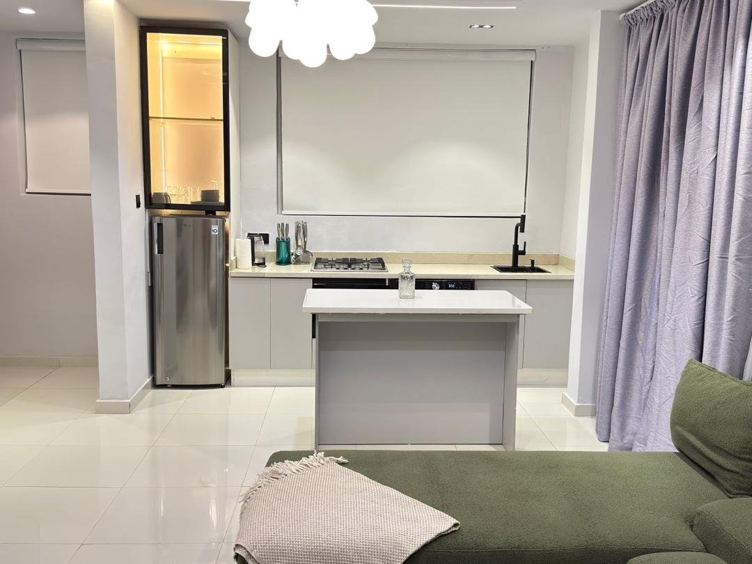 Luxury 1-Bedroom Short-Let Apartment for Rent in Ikoyi, Lagos